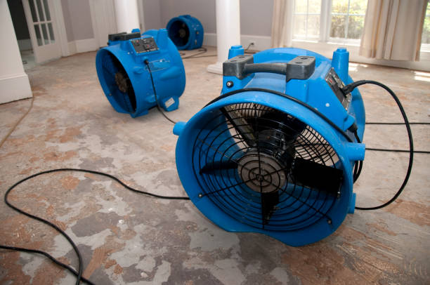 Best Water damage contractors near me  in Flence, OR